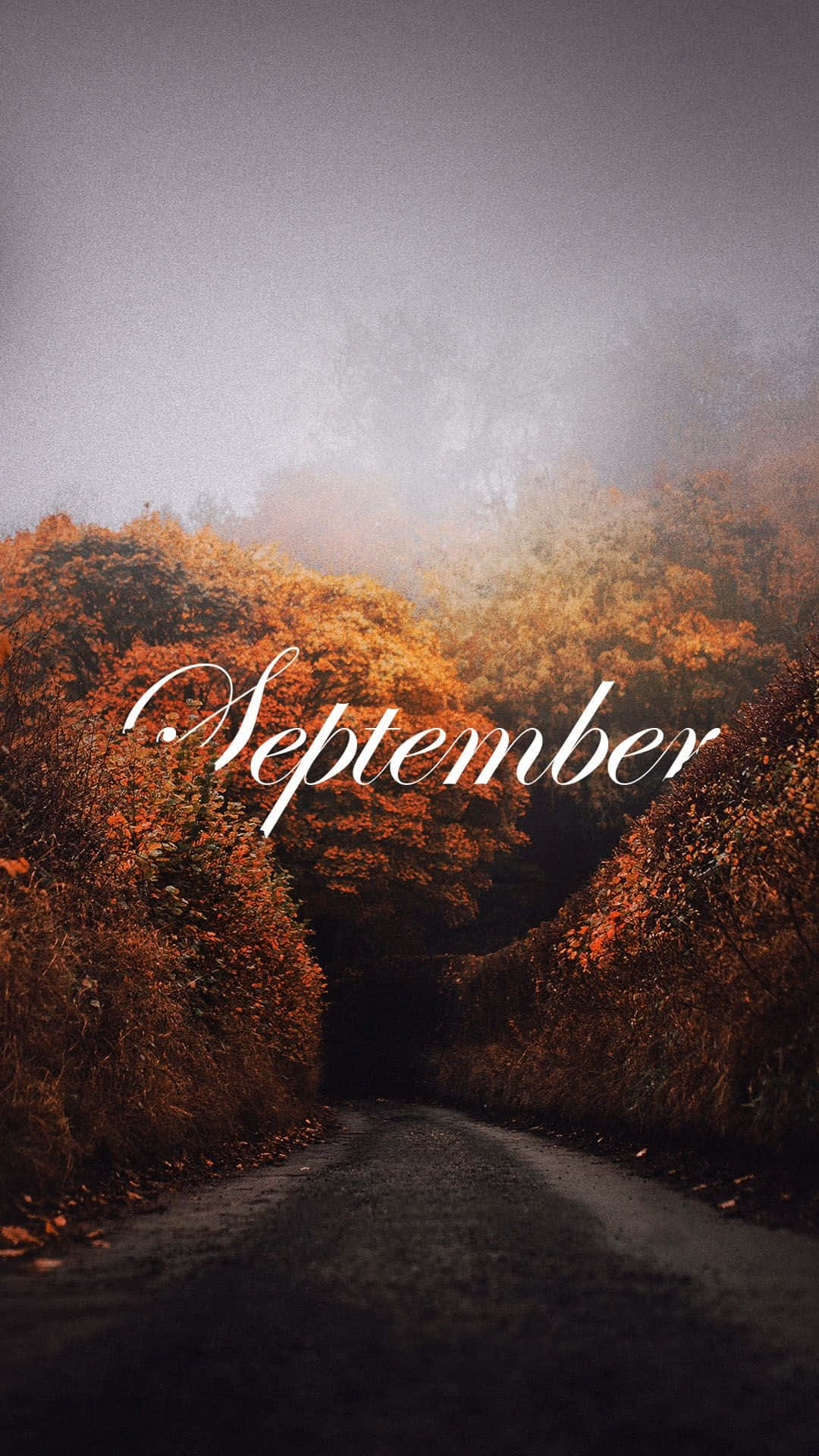 Misty September Fall Road Wallpaper