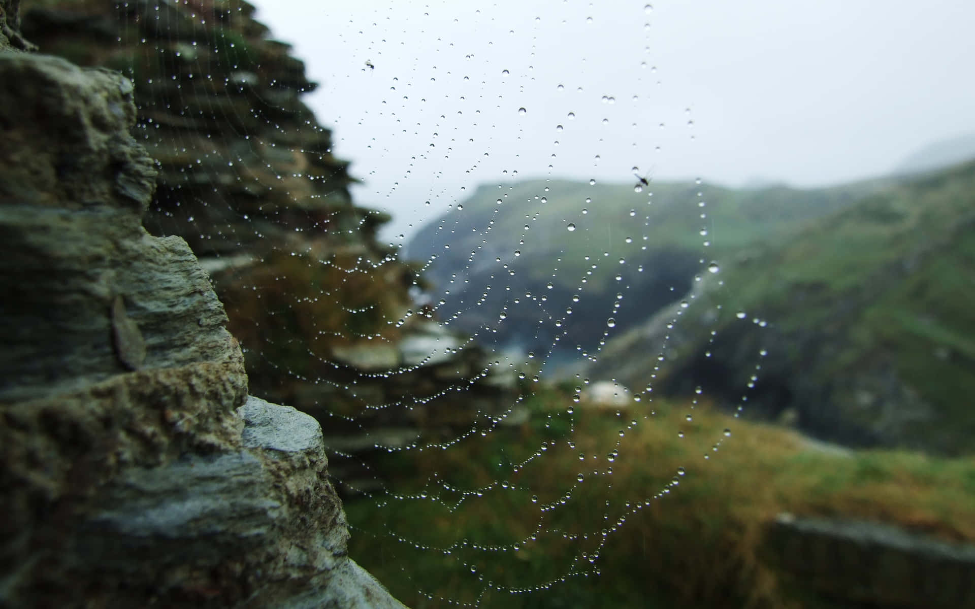 Misty Spiderweb Cliffside View.jpg Wallpaper