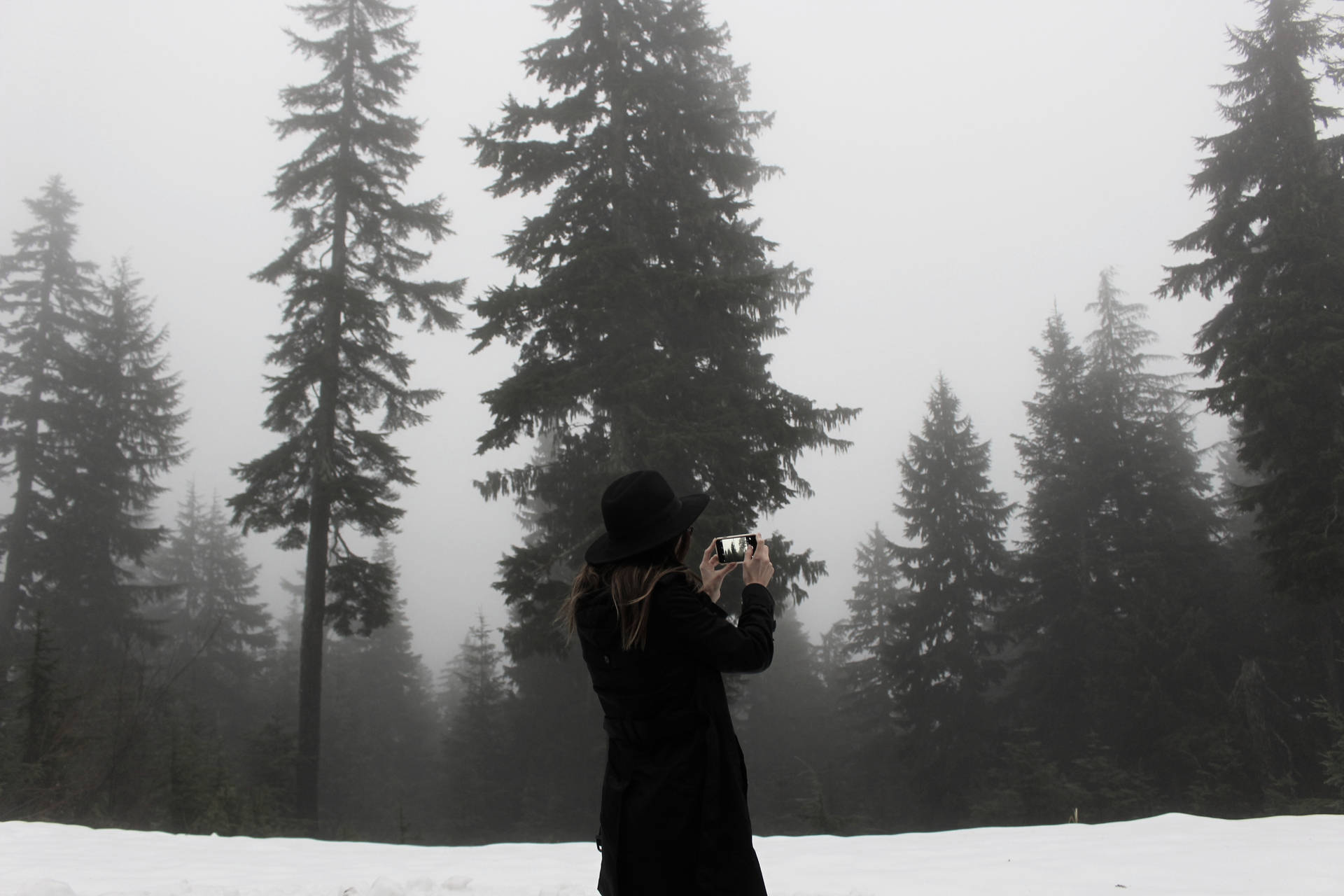Misty_ Forest_ Photography_ Adventure.jpg SVG