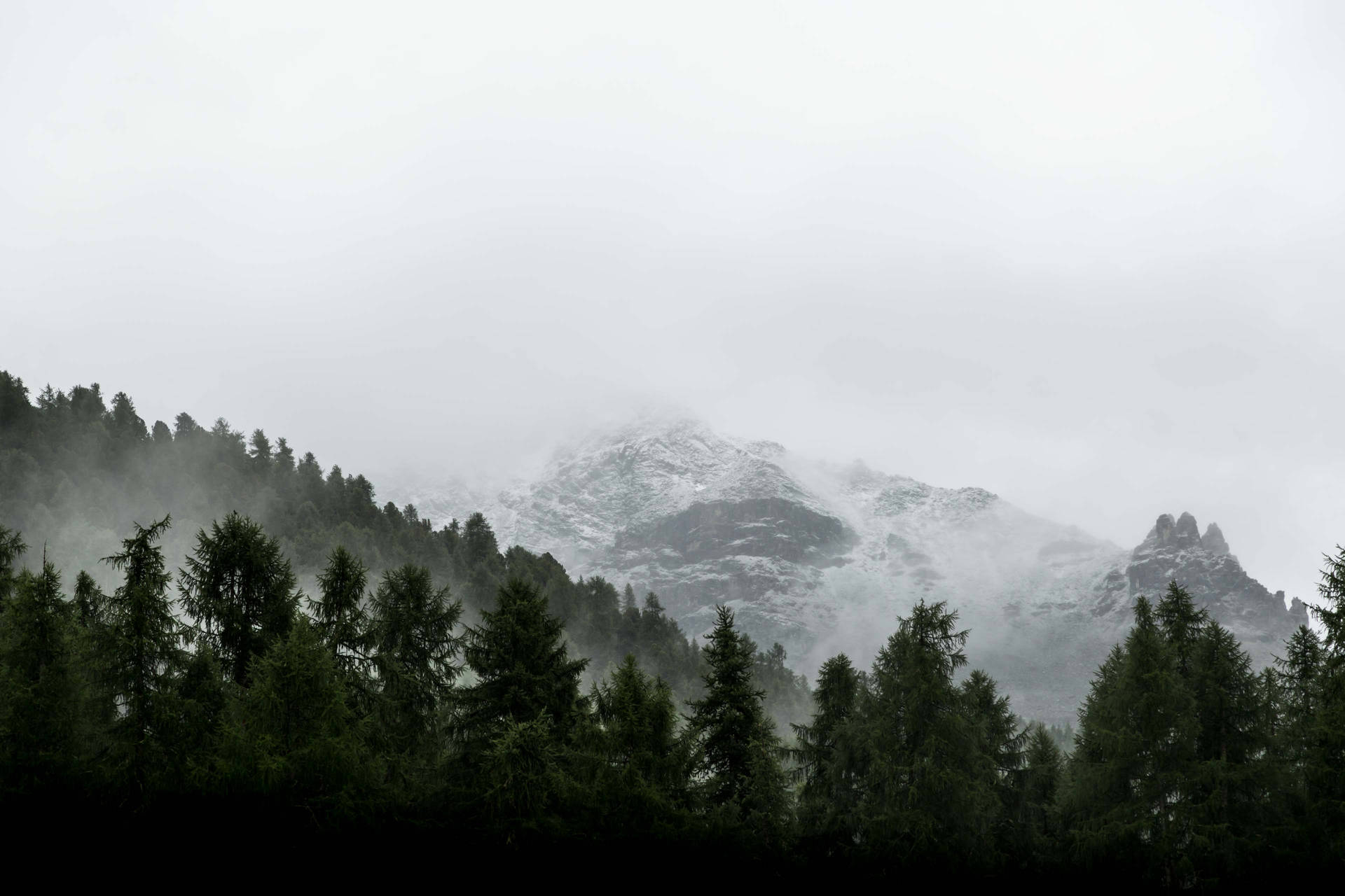 Misty_ Mountain_ Forest_ View SVG