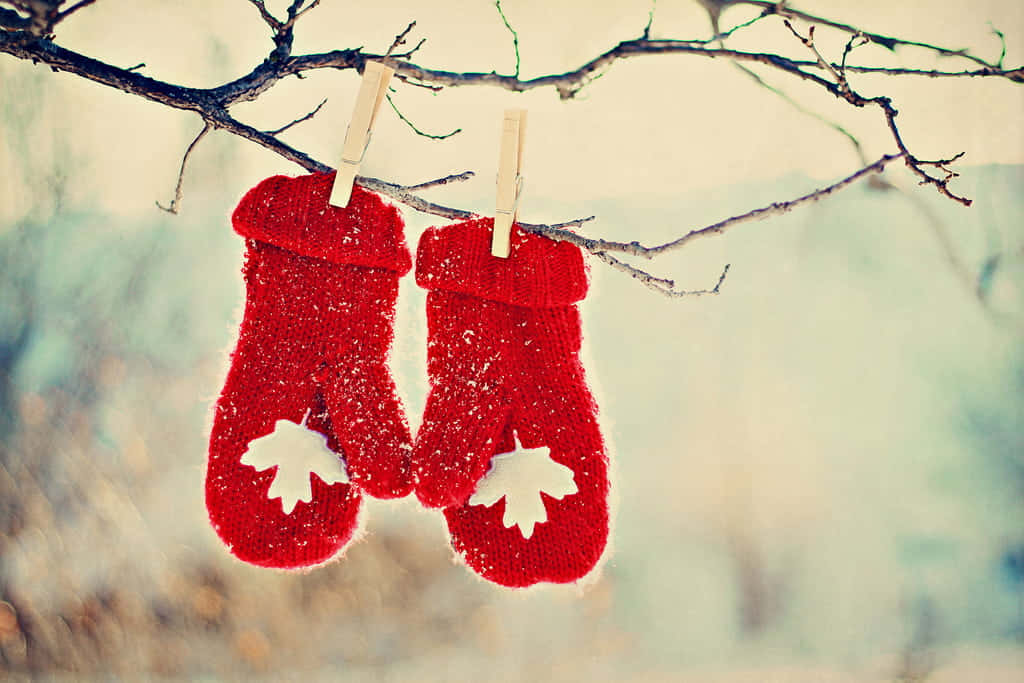 Cozy Knitted Mittens on a Rustic Wooden Background Wallpaper