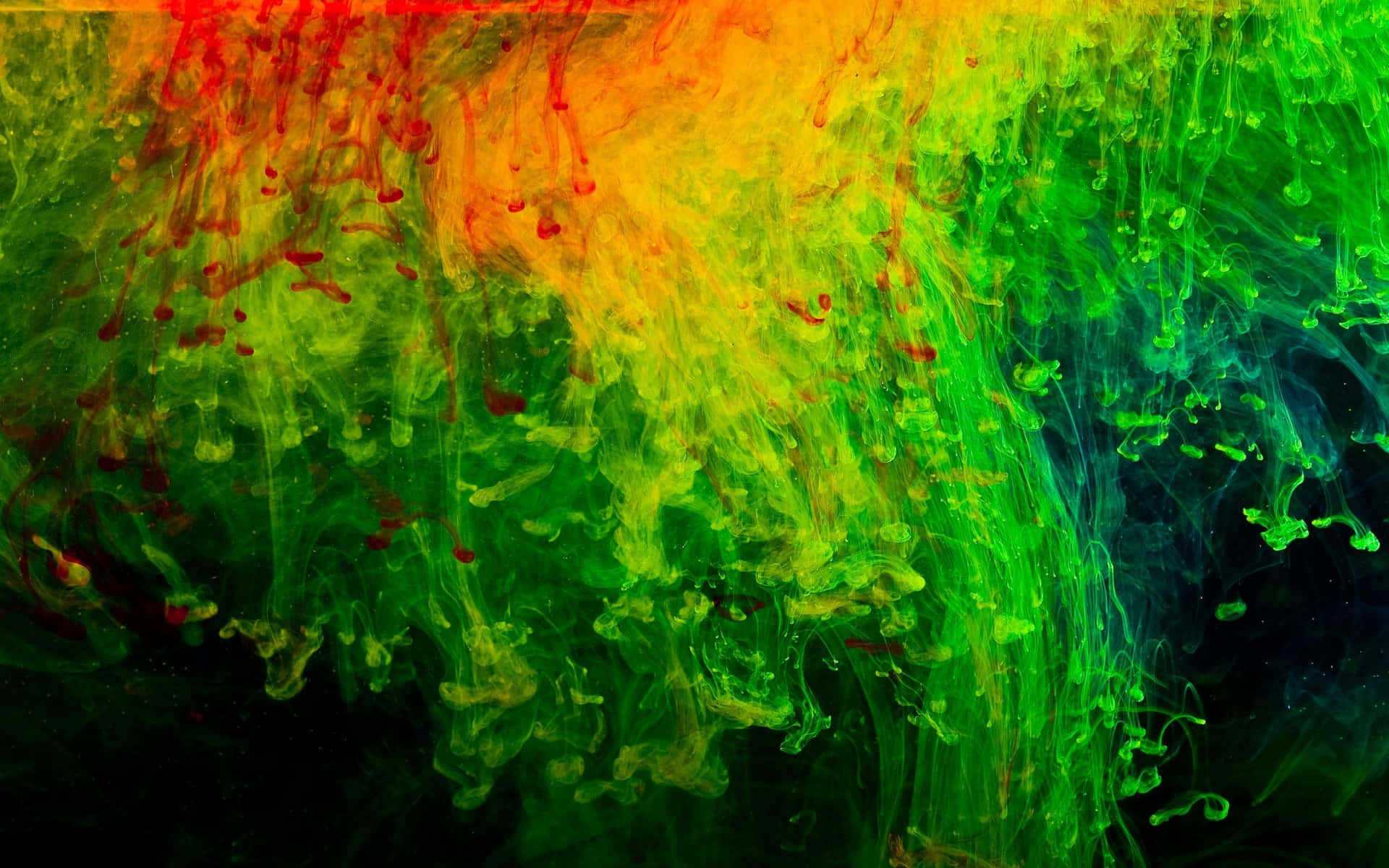 Enfärgstark Målning Med En Regnbåge Av Färger