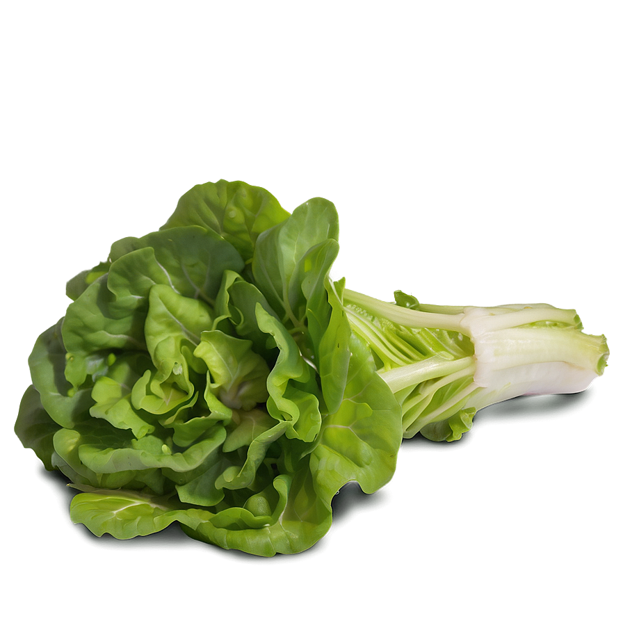 Download Mixed Lettuce Png 05242024 | Wallpapers.com