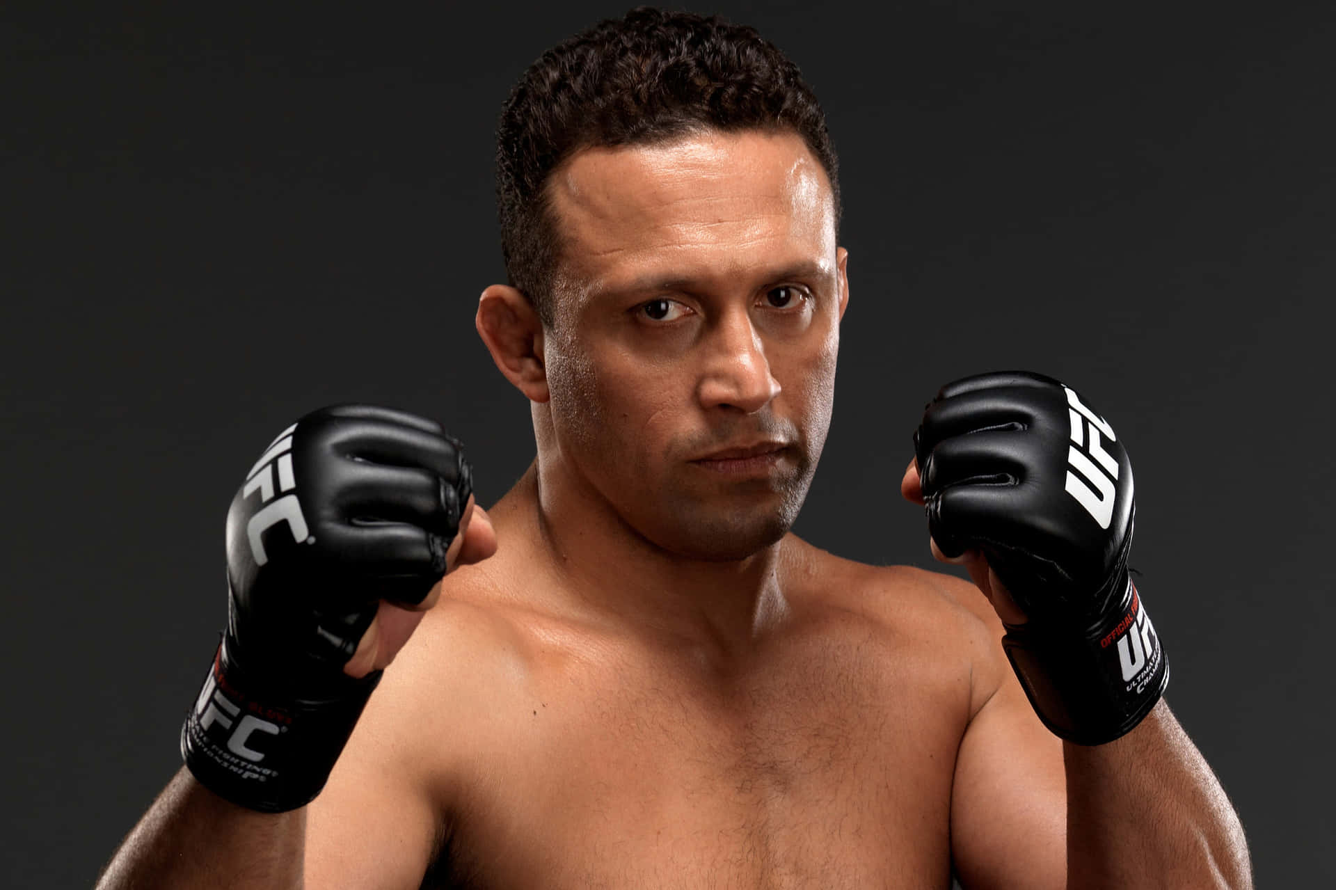 Mixed Martial Artist Renzo Gracie Fighting Stance Wallpaper