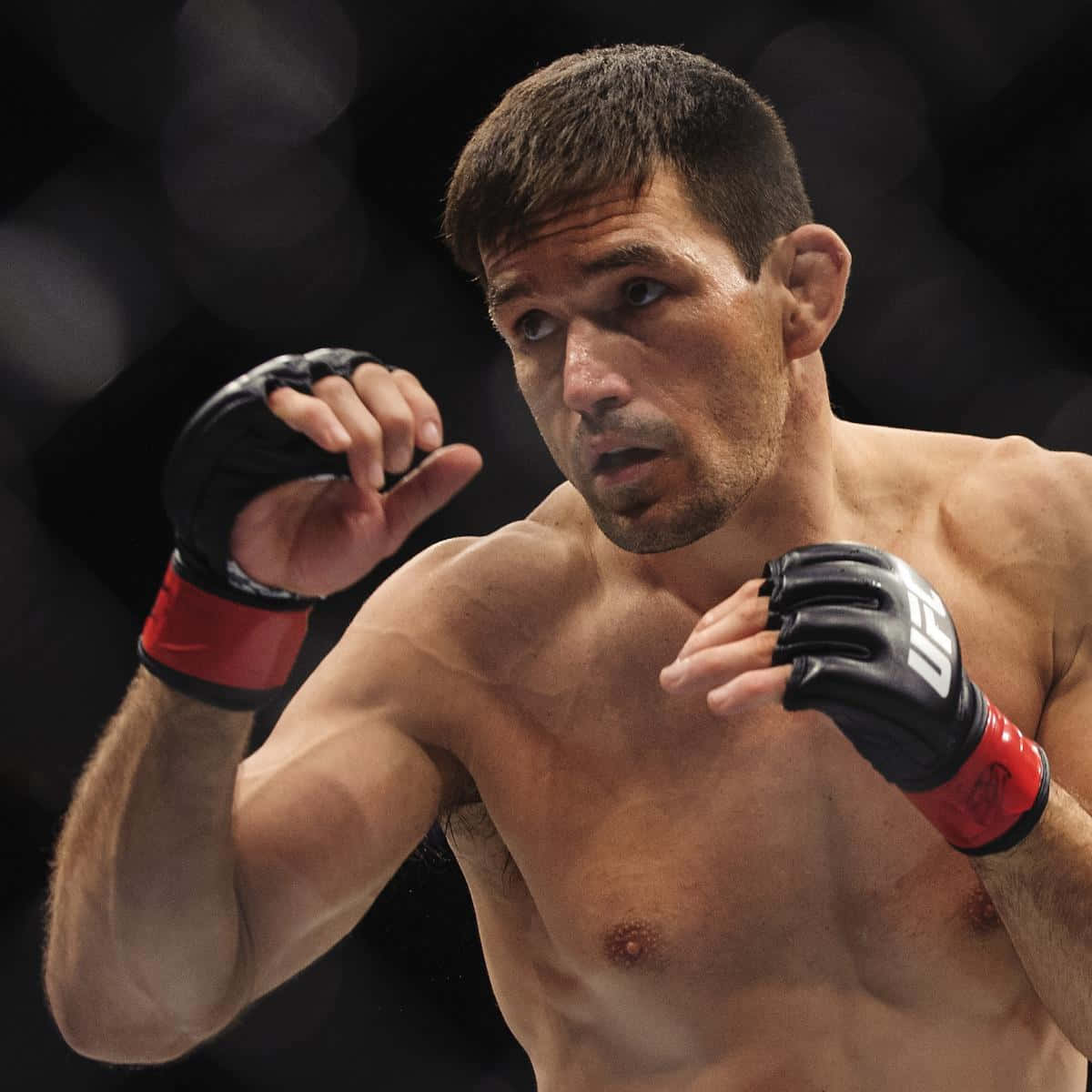 Mixed Martial Artists Demian Maia Background
