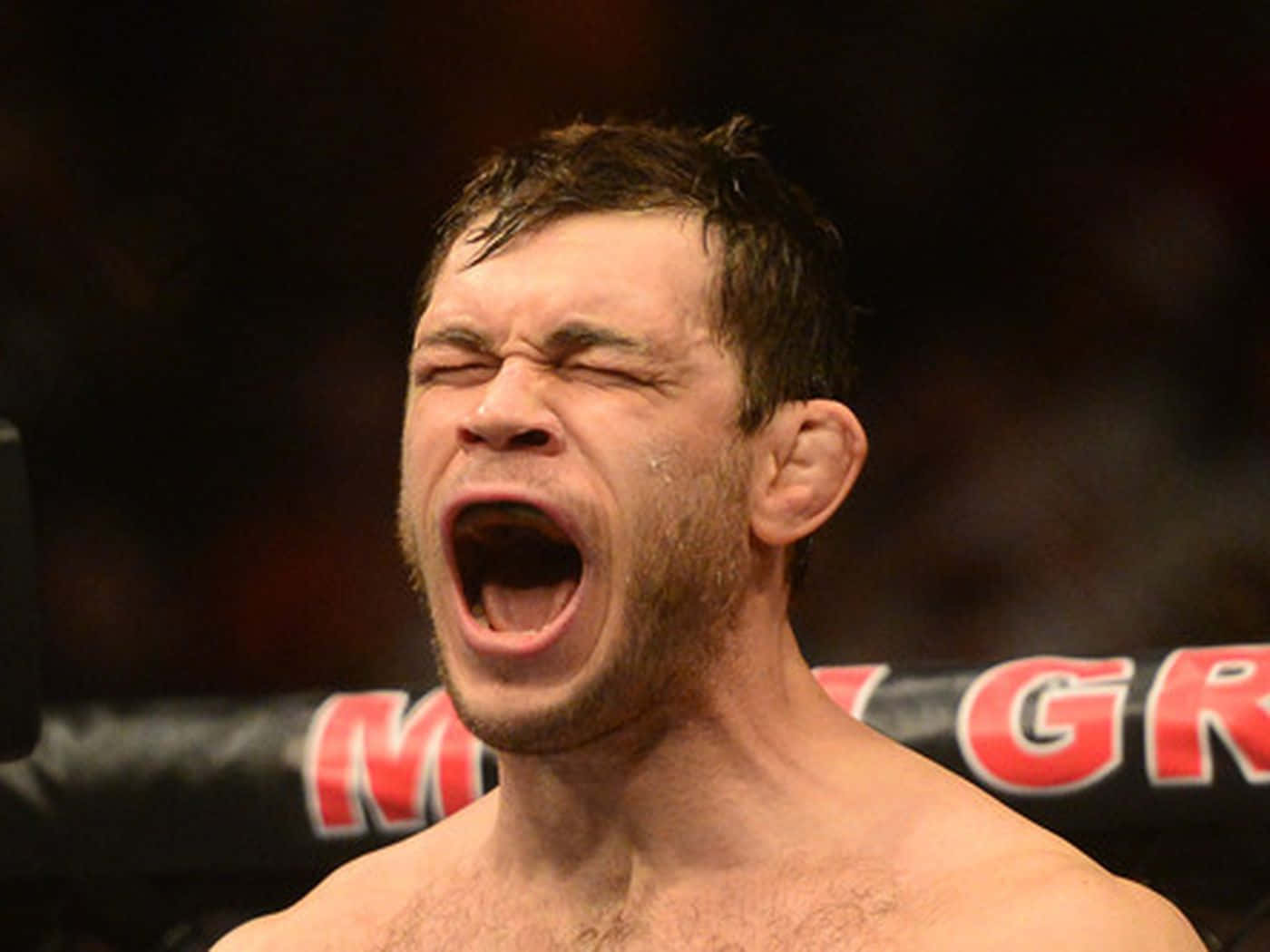 Mixed Martial Arts Forrest Griffin Wallpaper