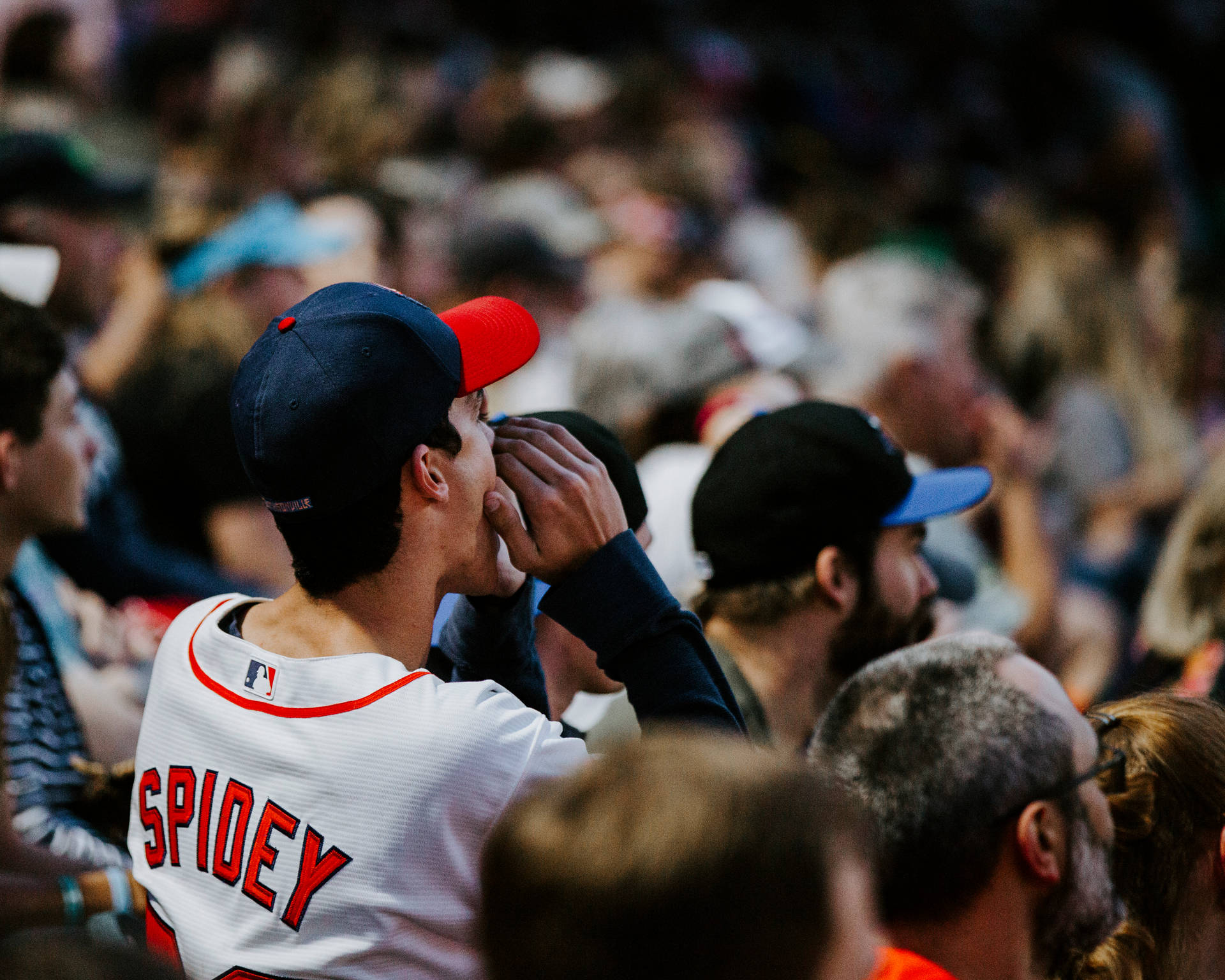 MLB Fan Yells At Crowd Wallpaper