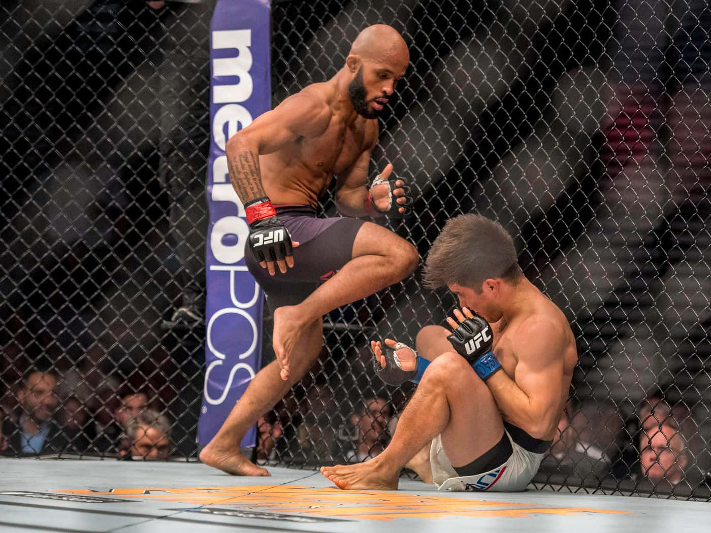 MMA Demetrious Johnson mod Henry Cejudo tapet Wallpaper