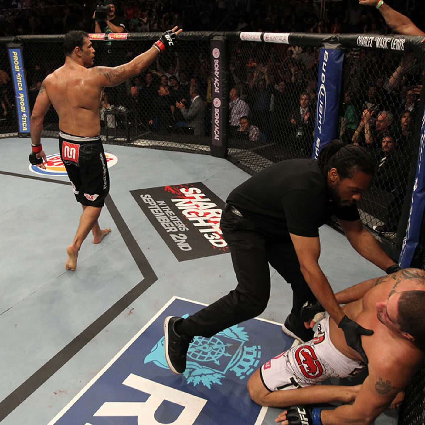 MMA Fighter Antonio Rogerio Nogueira At UFC 134 Wallpaper