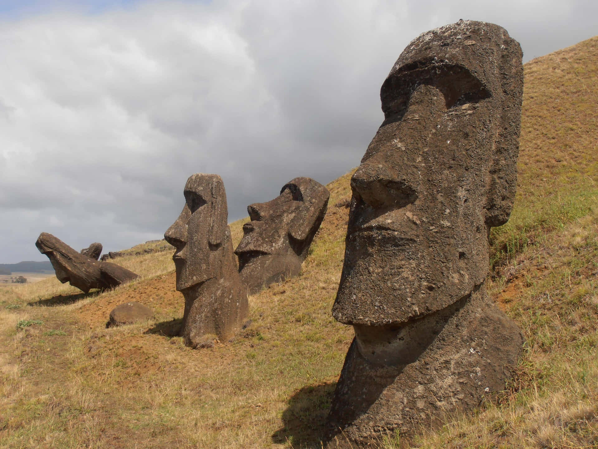 Figurer af Moai-hoveder tæt på Rano Raraku––Tapestry Wallpaper Wallpaper