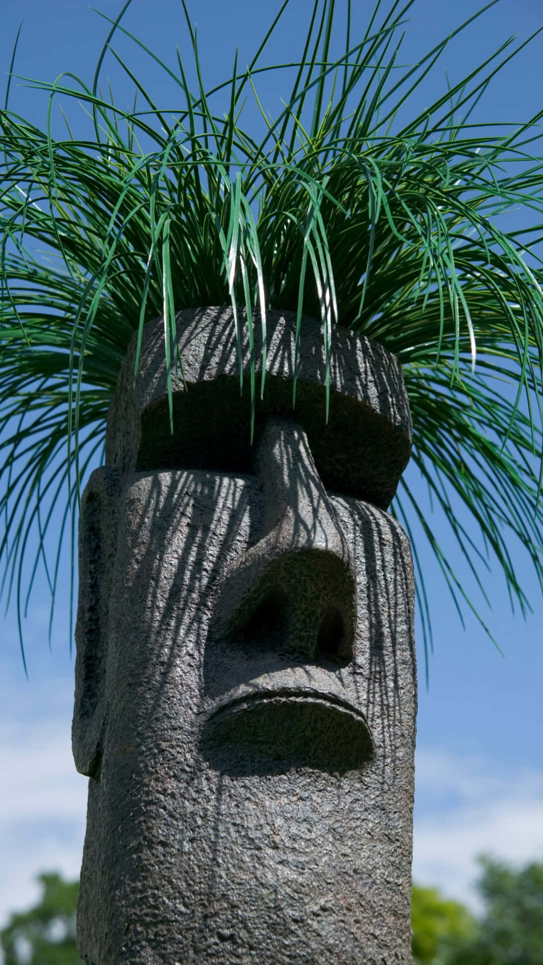 Moai Statuewith Grass Hair Wallpaper