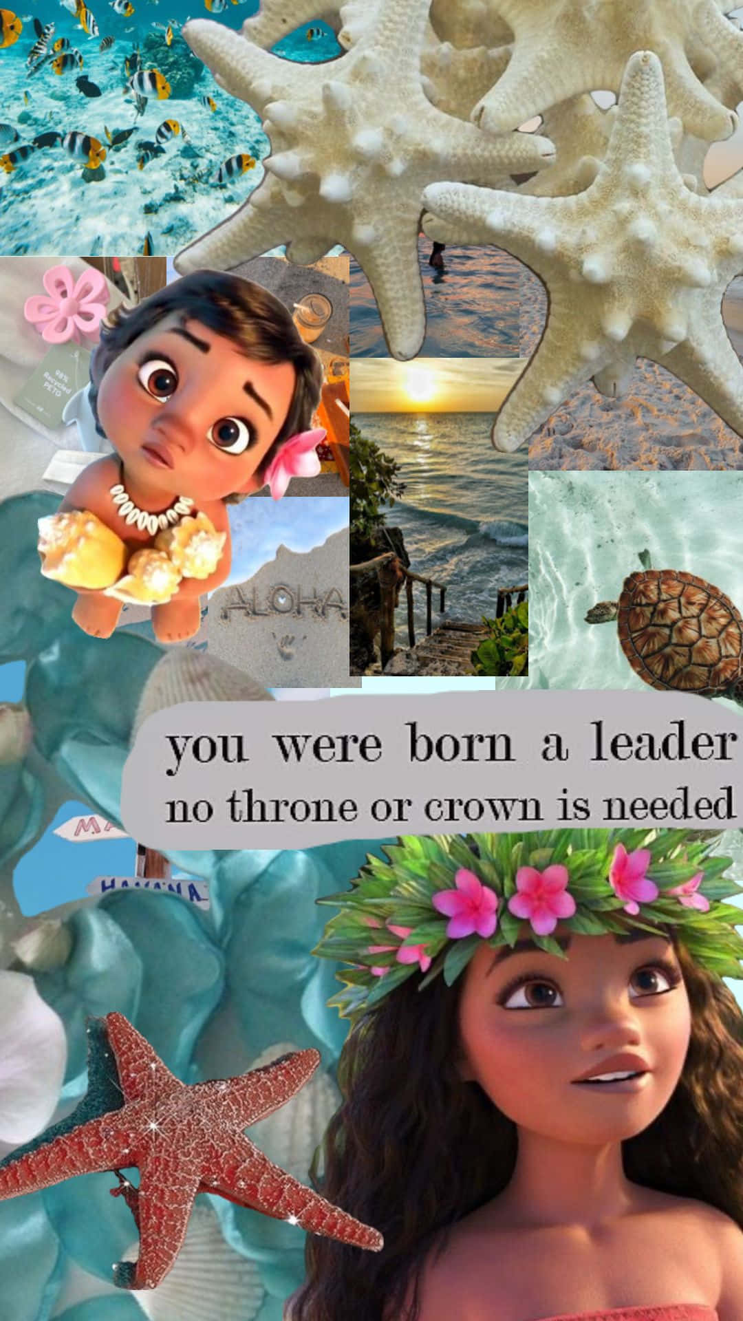 Moana Inspired Aesthetic Collage Wallpaper