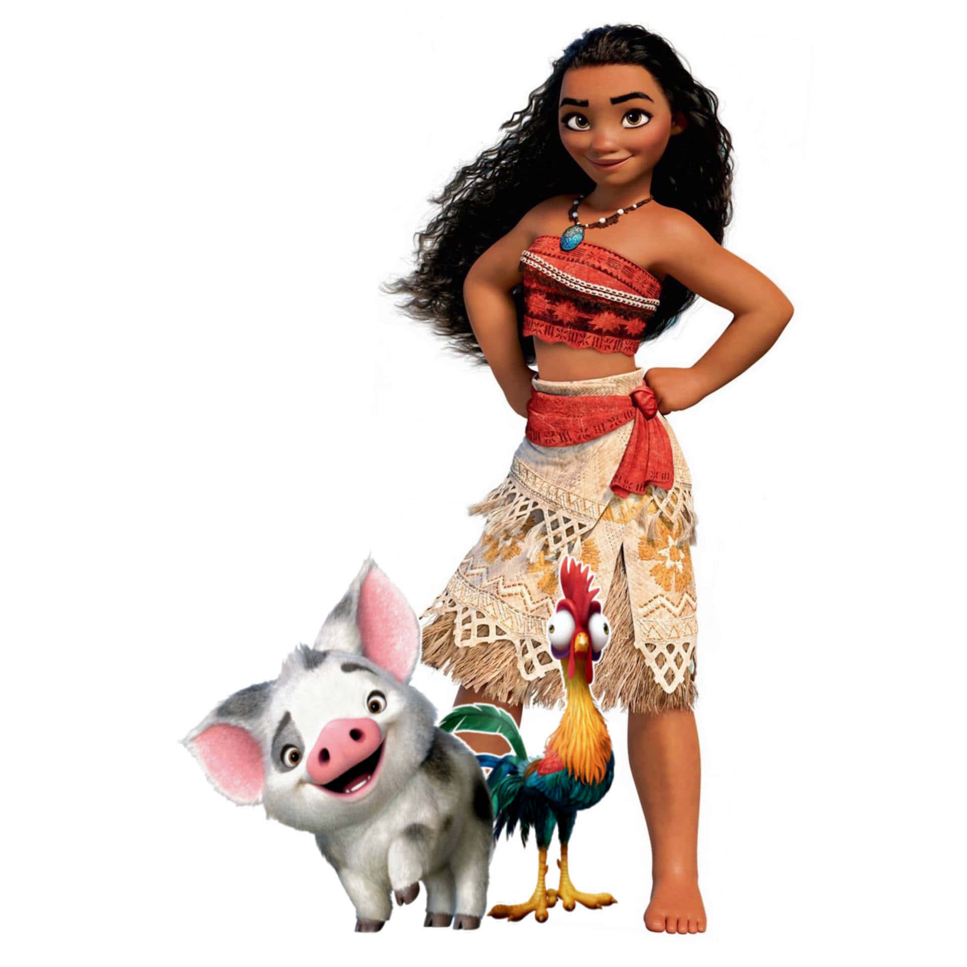 Moanaand Friends Animated Characters Wallpaper