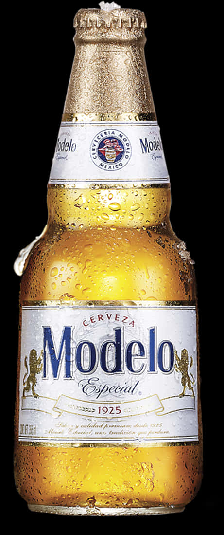 Modelo Especial Beer Bottle PNG