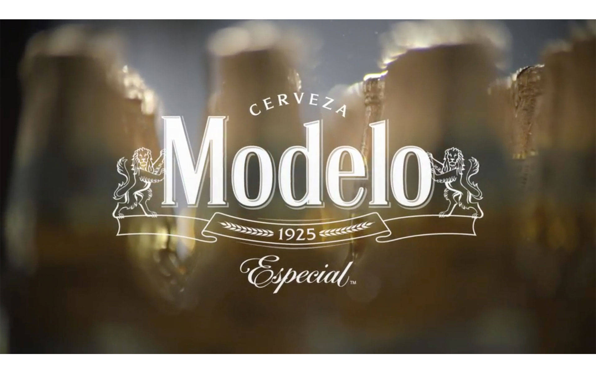 Modelo Especial Brand Logo Wallpaper