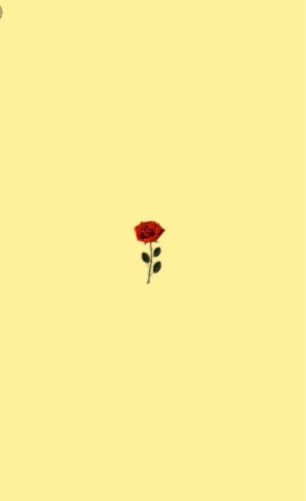 A Single Red Rose On A Yellow Background Wallpaper