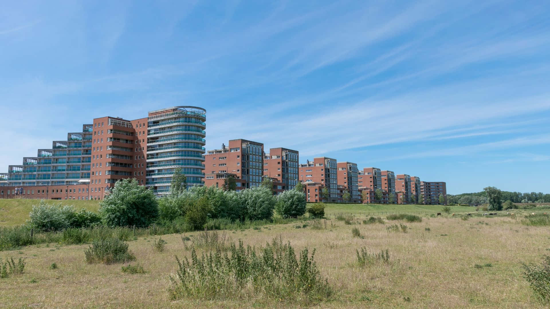 Moderne Leiligheter S Hertogenbosch Nederland Bakgrunnsbildet