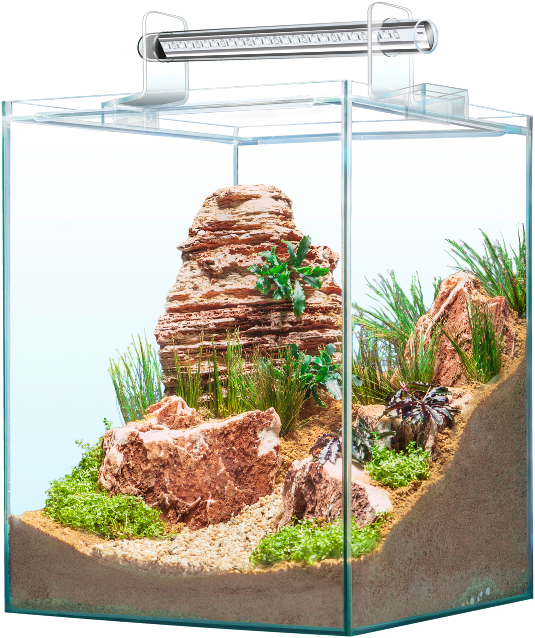 Modern Aquarium Design PNG