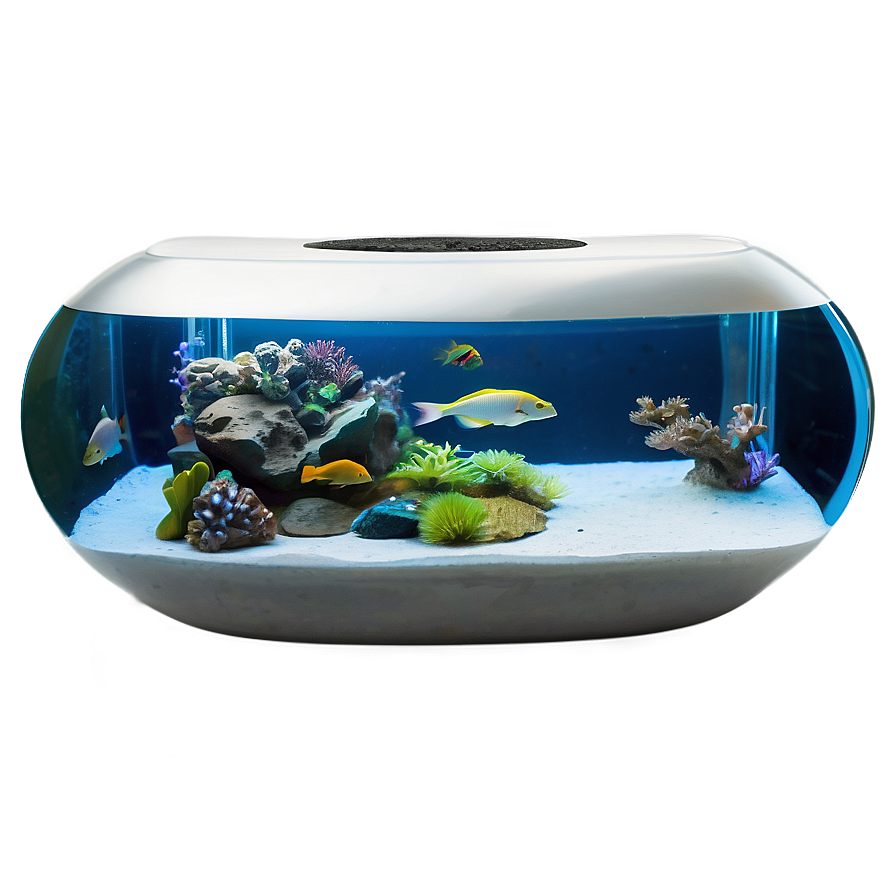 Modern Aquarium Png Mmh20 PNG