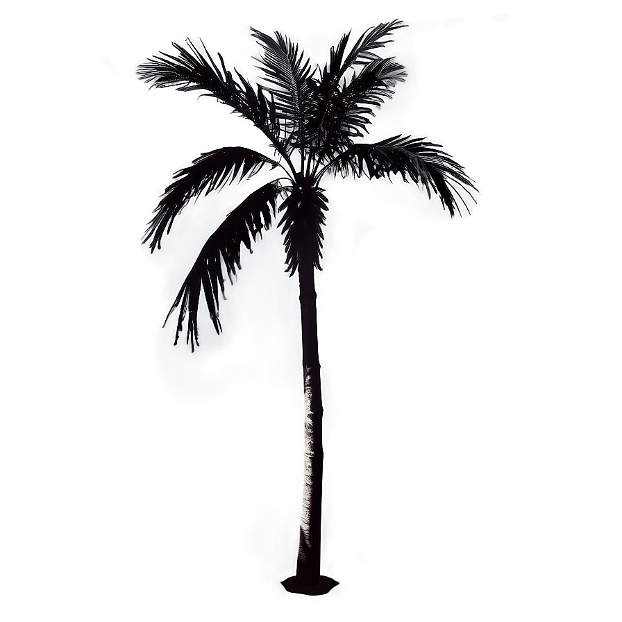 Modern Black Palm Tree Png 06262024 PNG