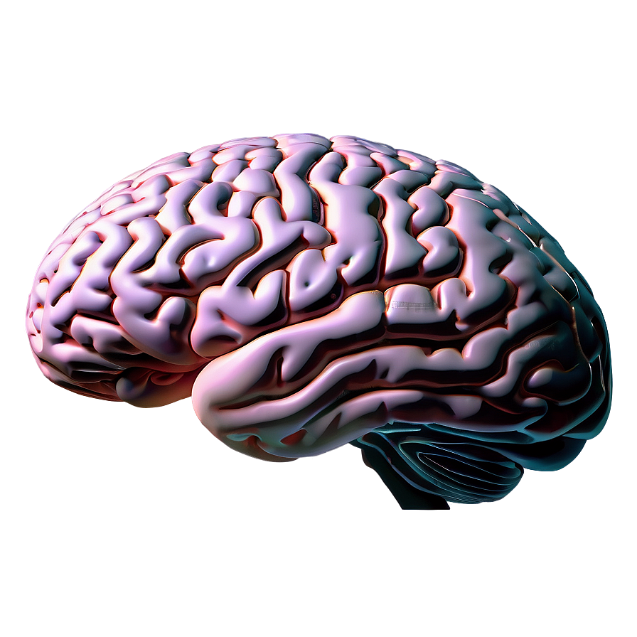 Modern Brain Outline Png 06272024 PNG
