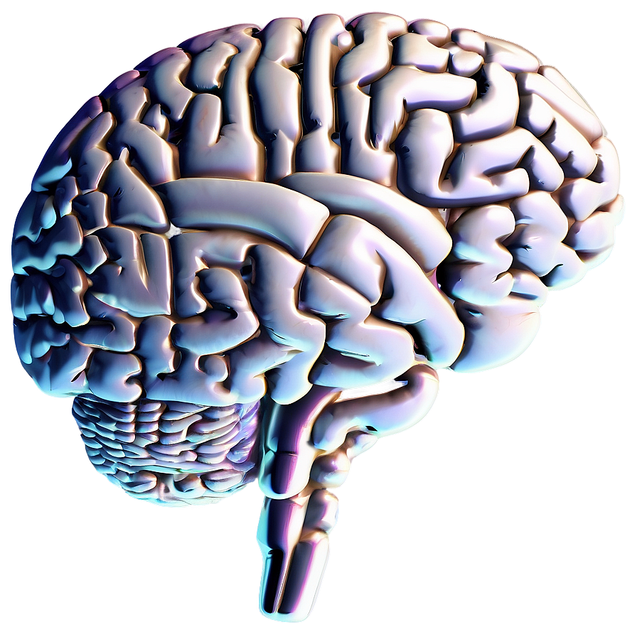 Modern Brain Outline Png 06272024 PNG