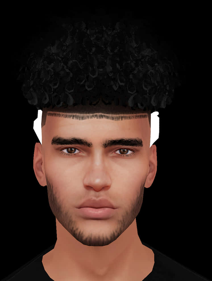 Modern Curly Top Fade Hairstyle PNG