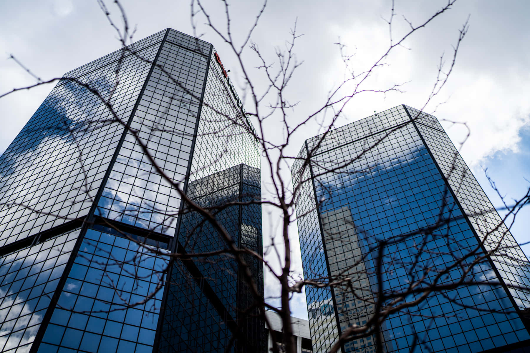 Modern_ Glass_ Office_ Towers_ Branch_ Foreground.jpg Wallpaper