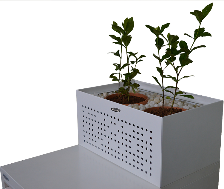 Modern Indoor Planterwith Plants PNG
