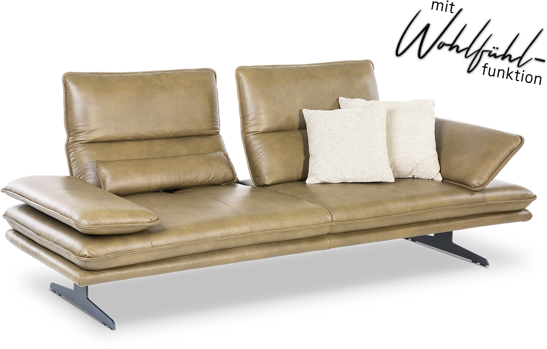 Modern Leather Sofa With Cushions PNG