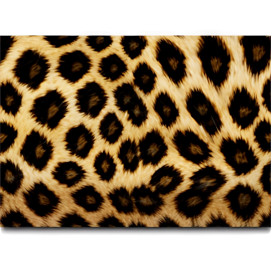 Modern Leopard Print Png 05212024 PNG
