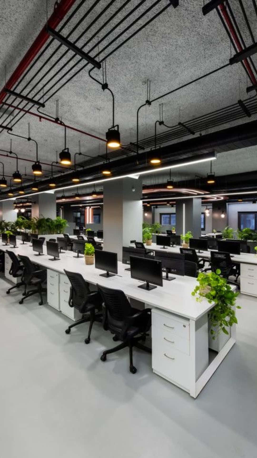 An Open Office With Desks And Plants