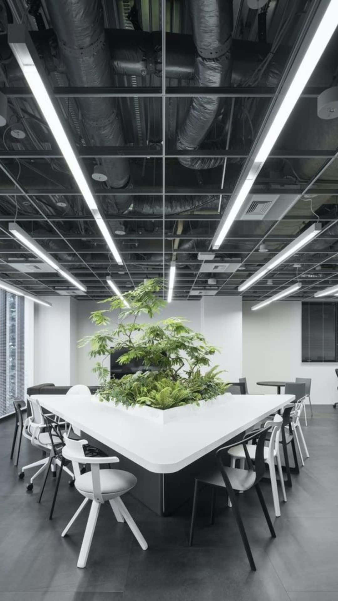 A Black And White Photo Of An Office With A Plant In The Middle
