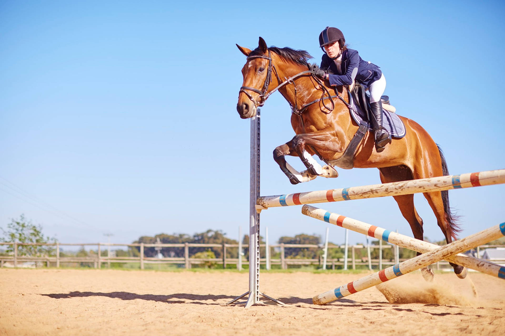 Modern Pentathlon Horse Jumping With Rider Wallpaper