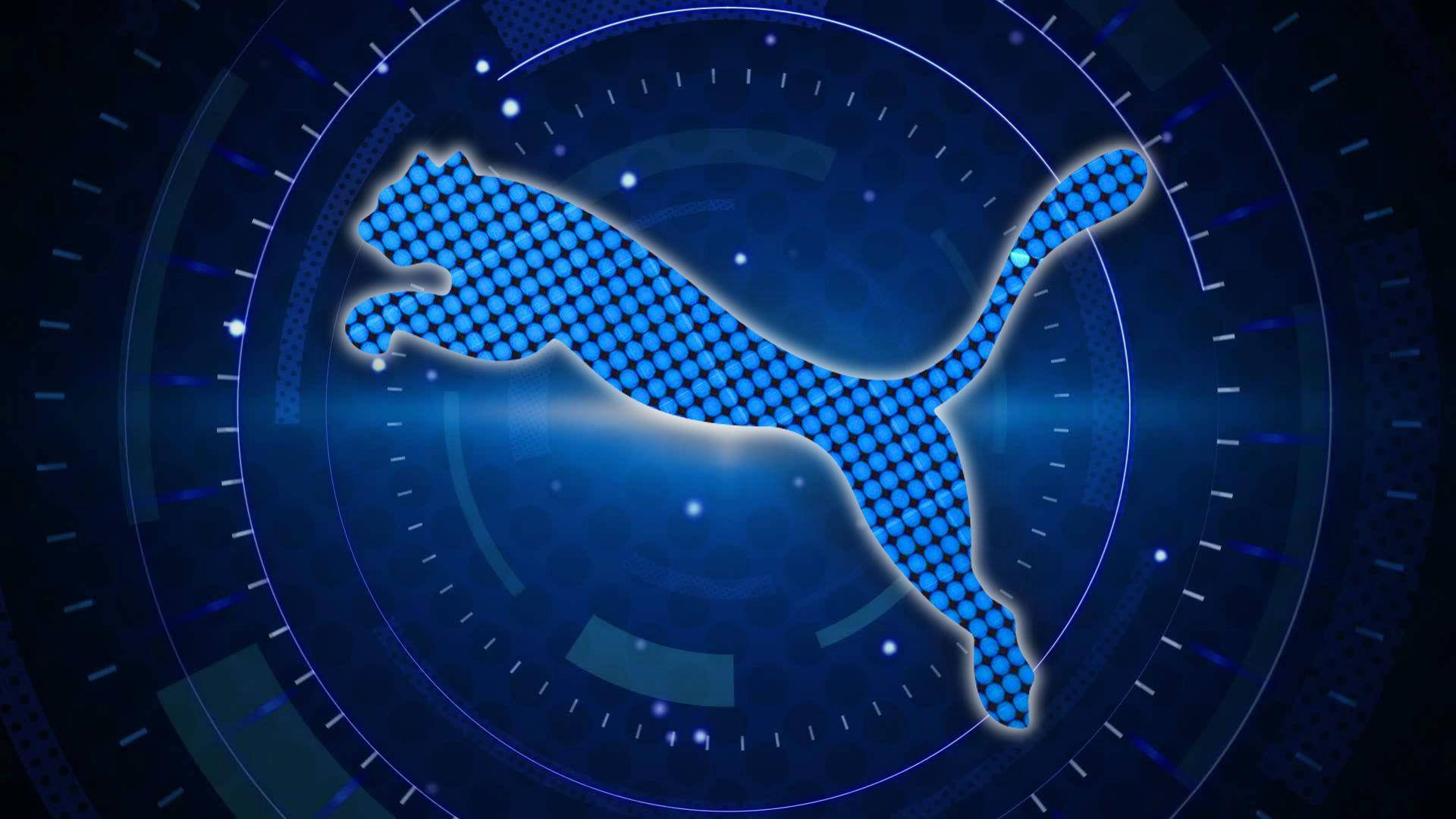 Puma Moderna In Blu Sfondo