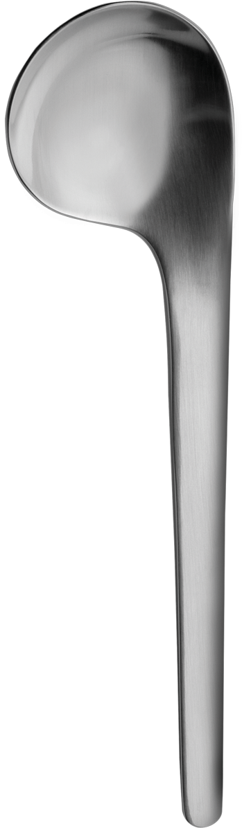 Modern Stainless Steel Spoon PNG