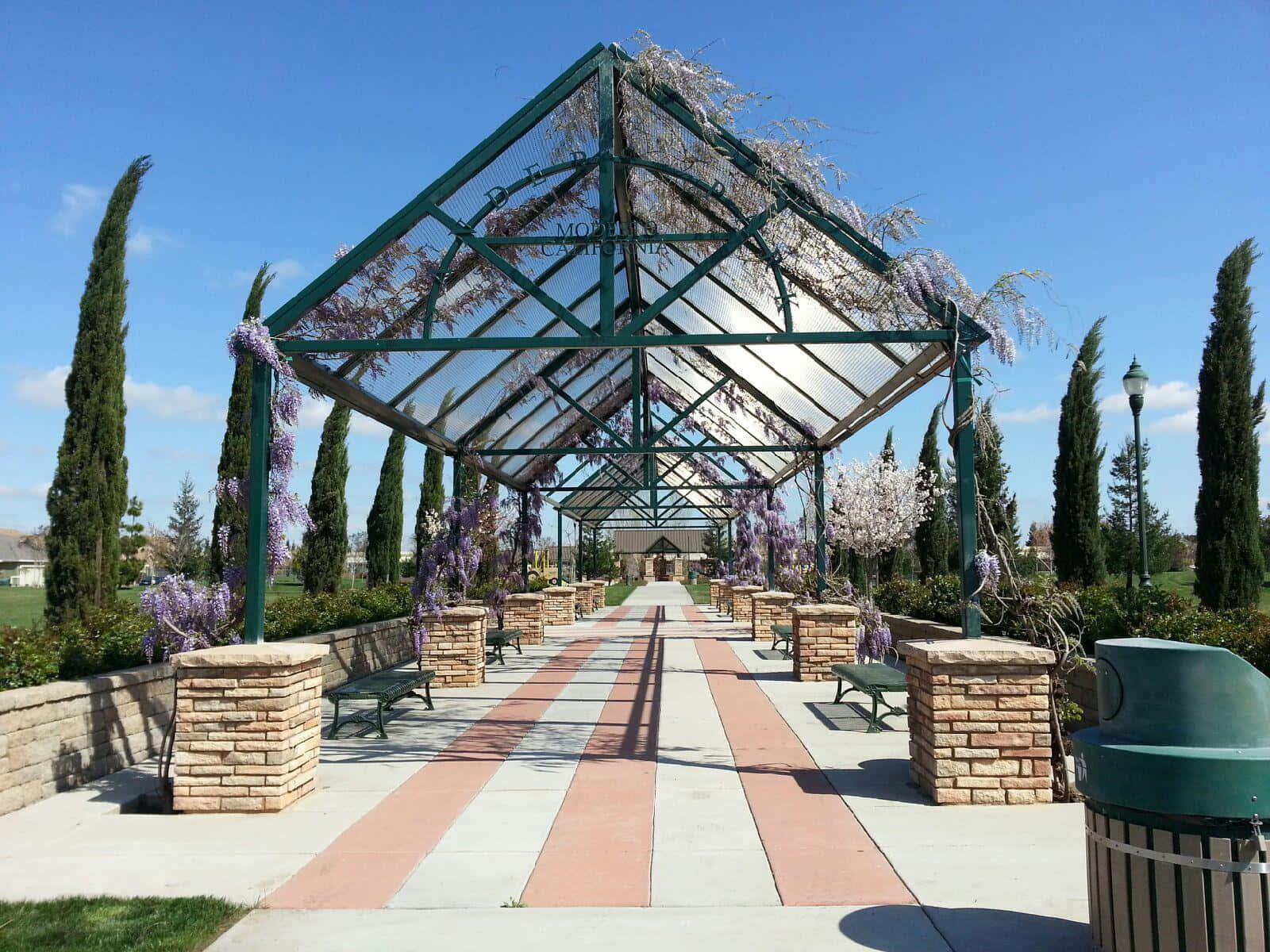 Modesto Park Pergola Wisteria Bloom Wallpaper