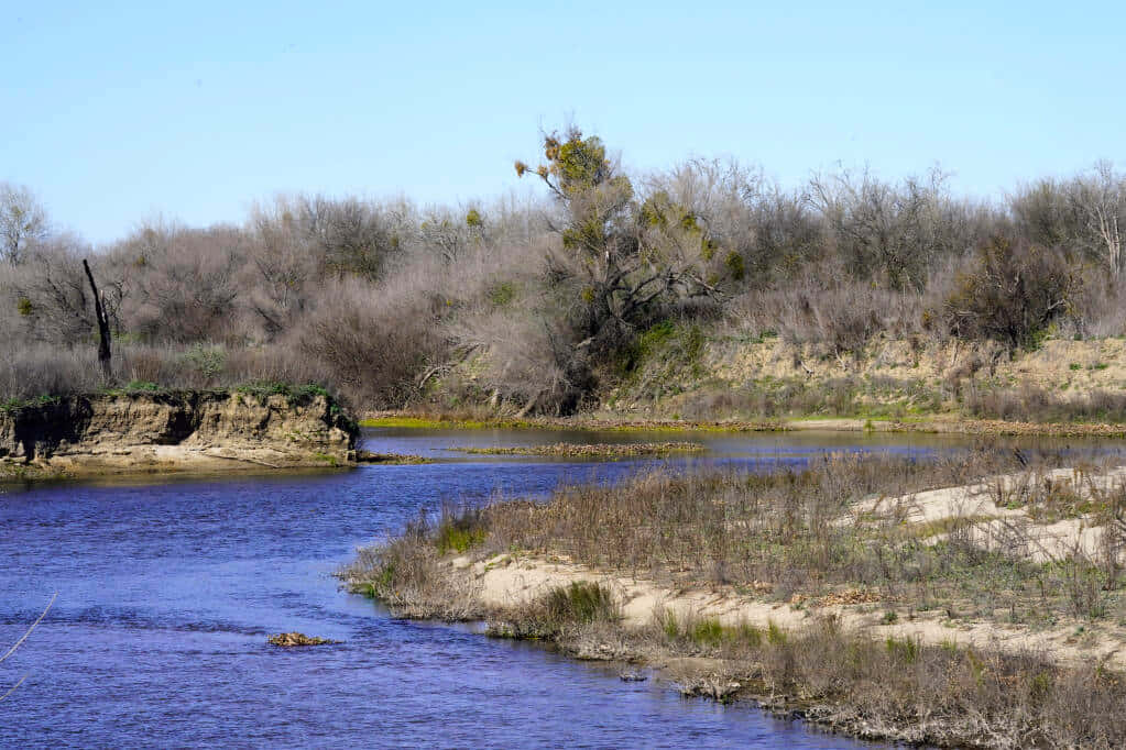 Modesto Riverbank Nature Scene Wallpaper