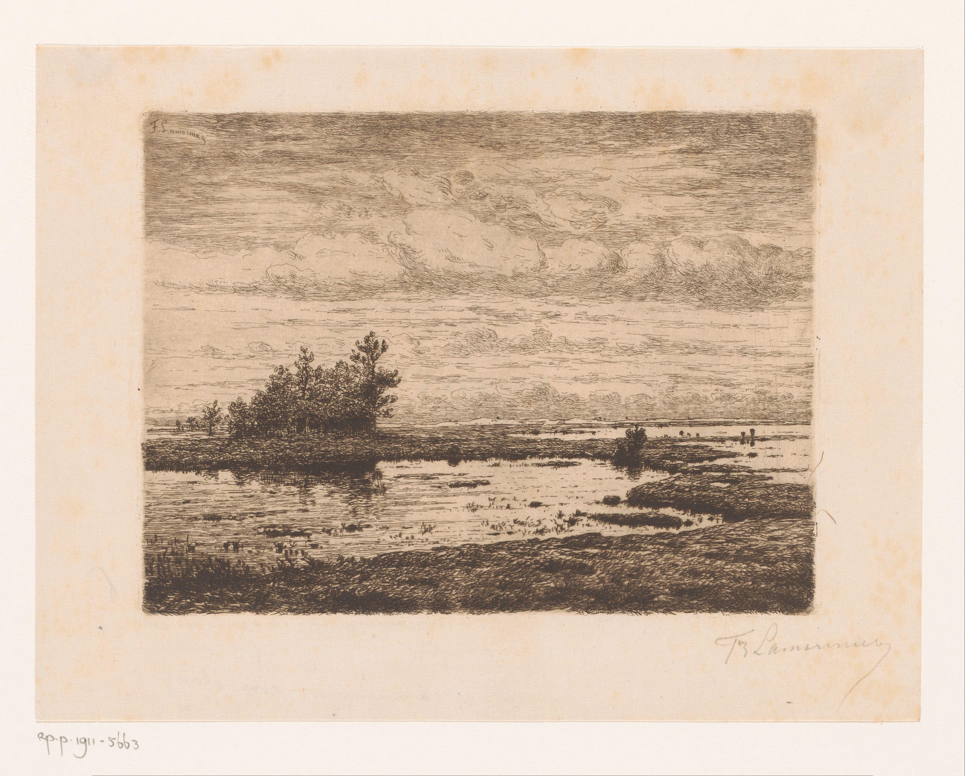 Moeraslandschap Wallpaper