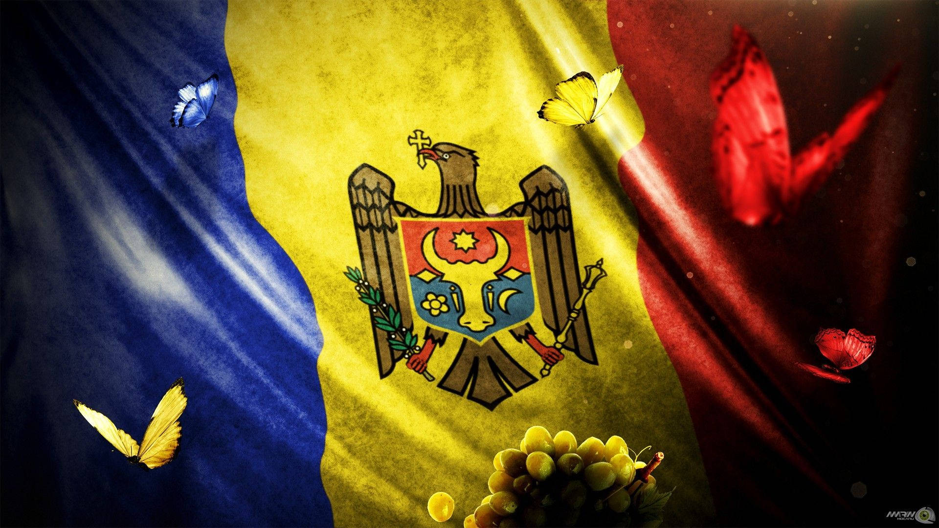 Moldova Flag With Butterflies