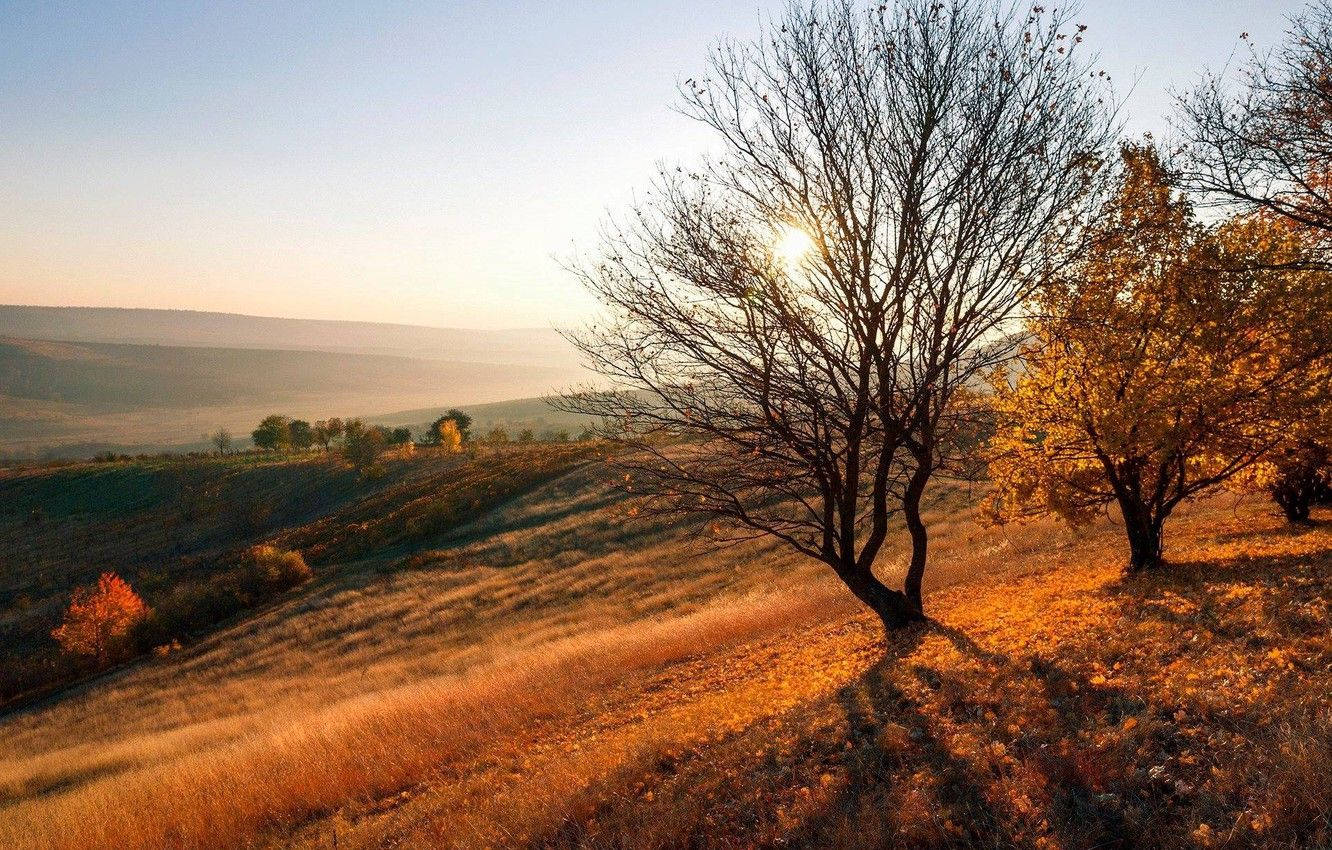 Dette tapet viser et skønt landskab fra Moldova Vulcănești. Wallpaper