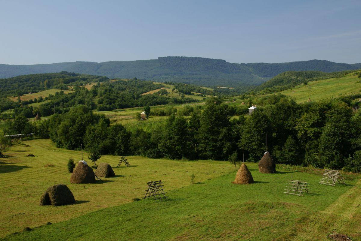 Moldovas Farm Background