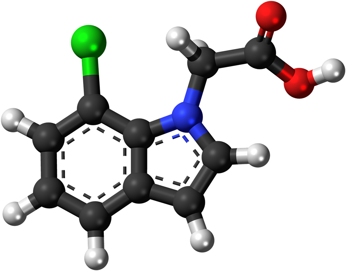 Molecular Structure3 D Model PNG