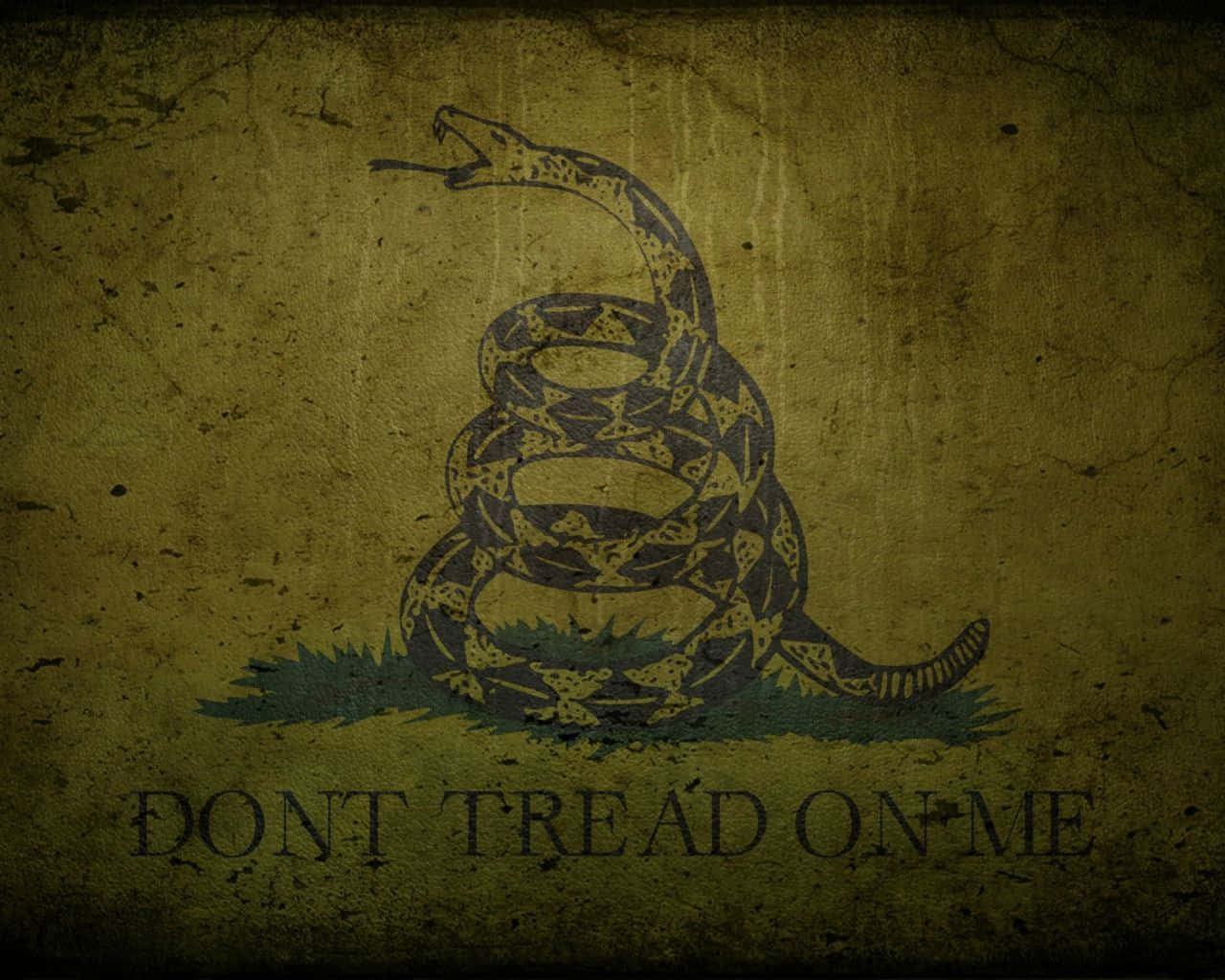 Dont Tread on Me by Daren Guillory on Dribbble
