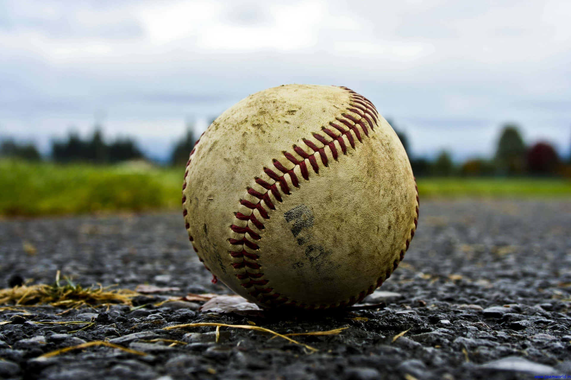 Momentomozzafiato Di Baseball Sul Campo