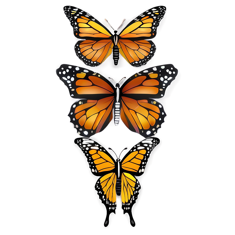 Monarch Butterflies A PNG