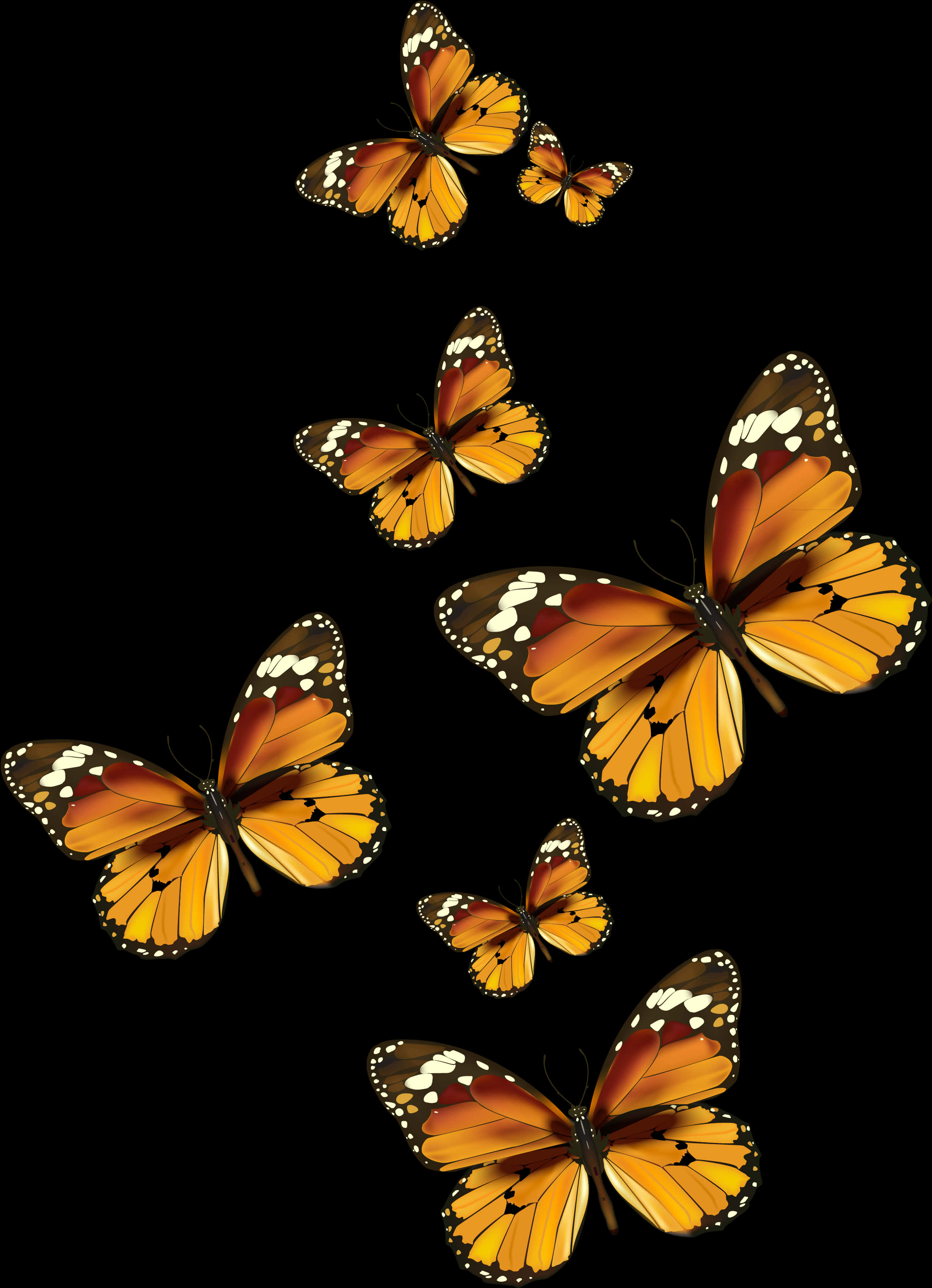 Monarch Butterflies Black Background PNG