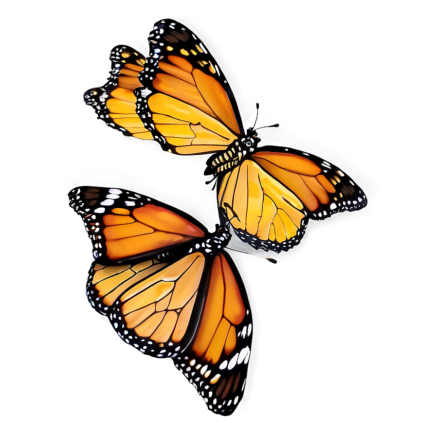 Monarch Butterflies Cluster Png 06252024 PNG