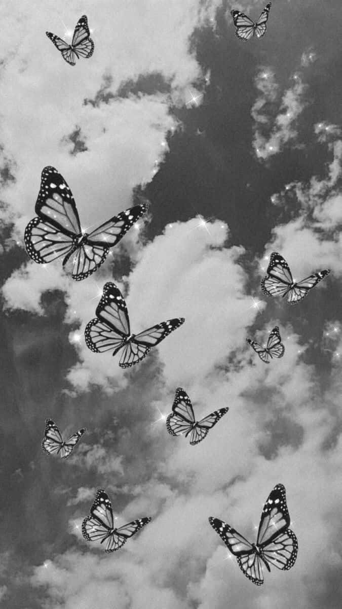 Monarch_ Butterflies_in_ Flight_ B W Wallpaper