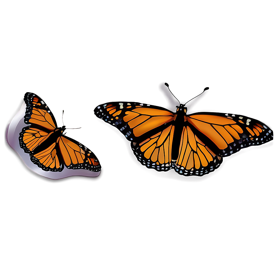 Monarch Butterflies In Nature Png 06252024 PNG